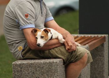 The Diabetes Type II Diet: Selecting Your Best Options