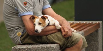 The Diabetes Type II Diet: Selecting Your Best Options